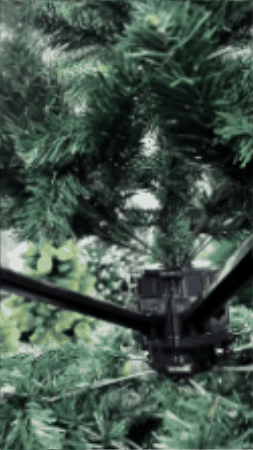 Armando el riel alrededor del árbol